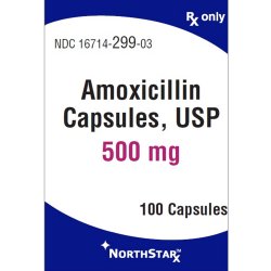 Amoxicillin 500 mg Capsule 100 Capsules